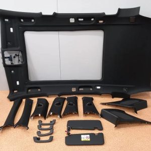 BMW X5 G05 Complete Headliner