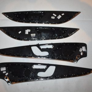 Genuine AMG Carbon Fiber Door Trim